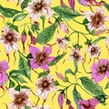 Beautiful strophanthus flowers on climbing twigs on yellow background. Seamless floral pattern. Watercolor painting. Hand painted