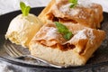 Beautiful strudel with cottage cheese, with vanilla ice cream cl Royalty Free Stock Photo