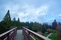 Beautiful stunning natural scenics above walkway in Alishan national forest