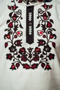 Beautiful stylish embroidery fashion ornament on groom shirt, unique national wedding dress Royalty Free Stock Photo