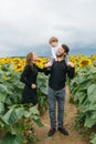 A beautiful stylish family walks in a field of sunflowers. Summer lifestyle in the fresh air, family leisure with a child Royalty Free Stock Photo