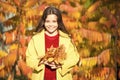 So beautiful. stylish girl in autumn coat. weather forecast. fallen leaves in forest. autumn nature background. school Royalty Free Stock Photo