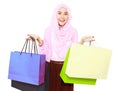 Beautiful stylish woman holding shopping bags in both hands Royalty Free Stock Photo