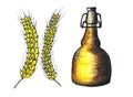 Beautiful stylized picture - yellow wheat and beer bottle watercolor drawing