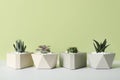 Beautiful succulent plants in stylish flowerpots on table against green background, space for text. Home