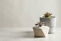 Beautiful succulent plants in stylish flowerpots on table against light background, space for text. Home