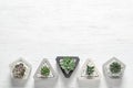 Beautiful succulent plants in stylish flowerpots on white wooden background, space for text. Home decor Royalty Free Stock Photo