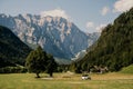 Beautiful summer alpine landscape. Logar valley or Logarska dolina, Kamnik Savinja Alps, Slovenia, Europe. Royalty Free Stock Photo