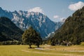 Beautiful summer alpine landscape. Logar valley or Logarska dolina, Kamnik Savinja Alps, Slovenia, Europe. Royalty Free Stock Photo