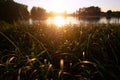 Beautiful summer autumn landscape, the sun sets in the forest, a view of the trees and grass pond, reflected in the water.