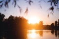 Beautiful summer autumn landscape, the sun sets in the forest, a view of the trees and grass pond, reflected in the water.