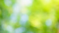 Beautiful summer background with bokeh in green tones, copy space summer background Royalty Free Stock Photo
