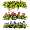 Beautiful summer balcony flowers Royalty Free Stock Photo