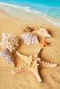 Beautiful summer beach background with different seashells and starfish on sandy seashore and turquoise water Royalty Free Stock Photo