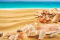 Beautiful summer beach background with different seashells and starfish on sandy seashore and turquoise water Royalty Free Stock Photo