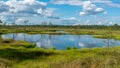 Beautiful summer bog landscape with lake, moss, bog pines and birches, peat bog flora