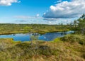 Beautiful summer bog landscape with lake, moss, bog pines and birches, peat bog flora