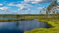 Beautiful summer bog landscape with lake, moss, bog pines and birches, peat bog flora