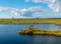 Beautiful summer bog landscape with lake, moss, bog pines and birches, peat bog flora