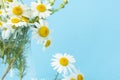 Beautiful summer bouquet of white daisies in a glass transparent vase on a blue background. Copy space Royalty Free Stock Photo