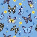 Beautiful summer butterflies flying ,lady bug,insect seamless pa