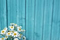 Beautiful summer camomile on a background of wooden fence Royalty Free Stock Photo