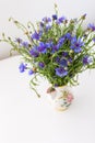 Centaurea triumfettii flowers in a vase Royalty Free Stock Photo