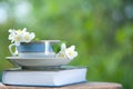 Beautiful summer composition of a cup of tea, book and Jasmine flowers on a natural green background, a concept of good morning, Royalty Free Stock Photo