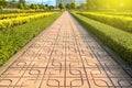 Beautiful summer cottage garden view with Slabs pathway