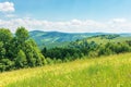 Beautiful summer countryside in mountains Royalty Free Stock Photo