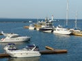 A beautiful summer evening in a port of Odesa Royalty Free Stock Photo