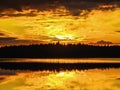 Beautiful summer evening, sunset all the lake in gold. Royalty Free Stock Photo