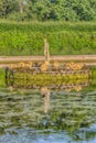 Summer evening view of the upper Peterhof Park, located in Saint Petersburg Royalty Free Stock Photo