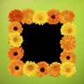 Beautiful Summer Floral photo Frame Royalty Free Stock Photo