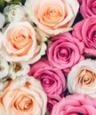 Beautiful summer flowers as background. Blossoming delicate roses on blooming flowers festive background, pastel and soft bouquet Royalty Free Stock Photo