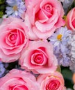 Beautiful summer flowers as background. Blossoming delicate roses on blooming flowers festive background, pastel and soft bouquet Royalty Free Stock Photo