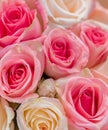 Beautiful summer flowers as background. Blossoming delicate roses on blooming flowers festive background, pastel and soft bouquet Royalty Free Stock Photo