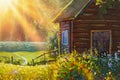 Beautiful summer flowers in front of a wooden village house illuminated by sunbeams acrylic painting, road to river illustration