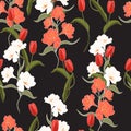 Beautiful summer freshy Trendy Wild blooming flower orange tulip and alstroemeria seamless pattern Royalty Free Stock Photo