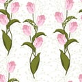 Beautiful summer freshy Trendy Wild blooming flower pink tulip and herbs seamless pattern