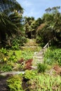 Beautiful summer garden