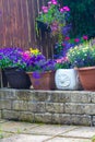 Beautiful, Summer garden with amazing blossom in big flowerpots