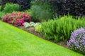 Beautiful, summer garden with red roses and various plants