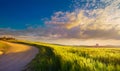 A Beautiful Summer Italian countryside landscape. Empty rural road through a Tuscany green wheat field. Sunset over the field Royalty Free Stock Photo