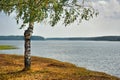 A beautiful summer lake with cool blue water and trees along the shores. The nature of central Russia Royalty Free Stock Photo