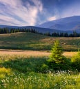 Beautiful summer landscape Royalty Free Stock Photo