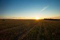 Agricultural Field With Hay Straw Bales In Countryside At Sunset Royalty Free Stock Photo