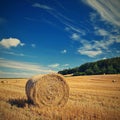 Beautiful summer landscape. Agricultural field. Round bundles of dry grass in the field with bleu sky and sun. Hay bale - haystack Royalty Free Stock Photo