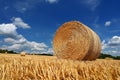 Beautiful summer landscape. Agricultural field. Round bundles of dry grass in the field with bleu sky and sun. Hay bale - haystack Royalty Free Stock Photo