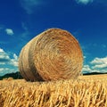 Beautiful summer landscape. Agricultural field. Round bundles of dry grass in the field with bleu sky and sun. Hay bale - haystack Royalty Free Stock Photo